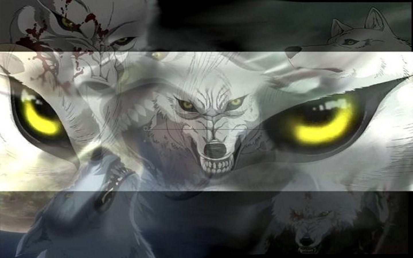 Wolf's Rain Wallpapers - Top Free Wolf's Rain Backgrounds - WallpaperAccess