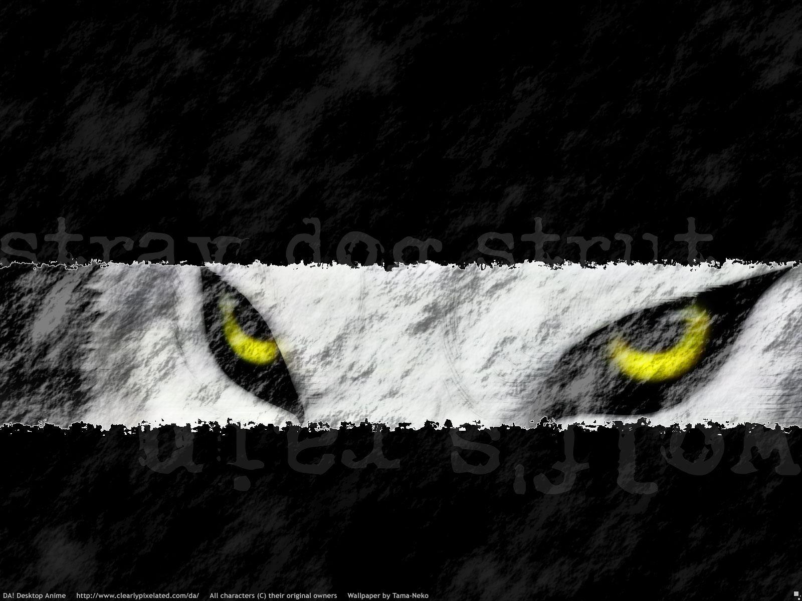 1600x1200 Wolf's Rain wallpaper HD for desktop background