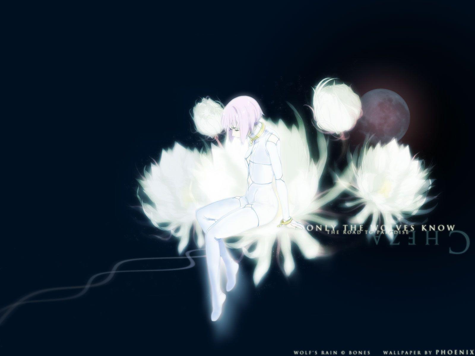 Wolf's Rain Wallpapers - Top Free Wolf's Rain Backgrounds - WallpaperAccess