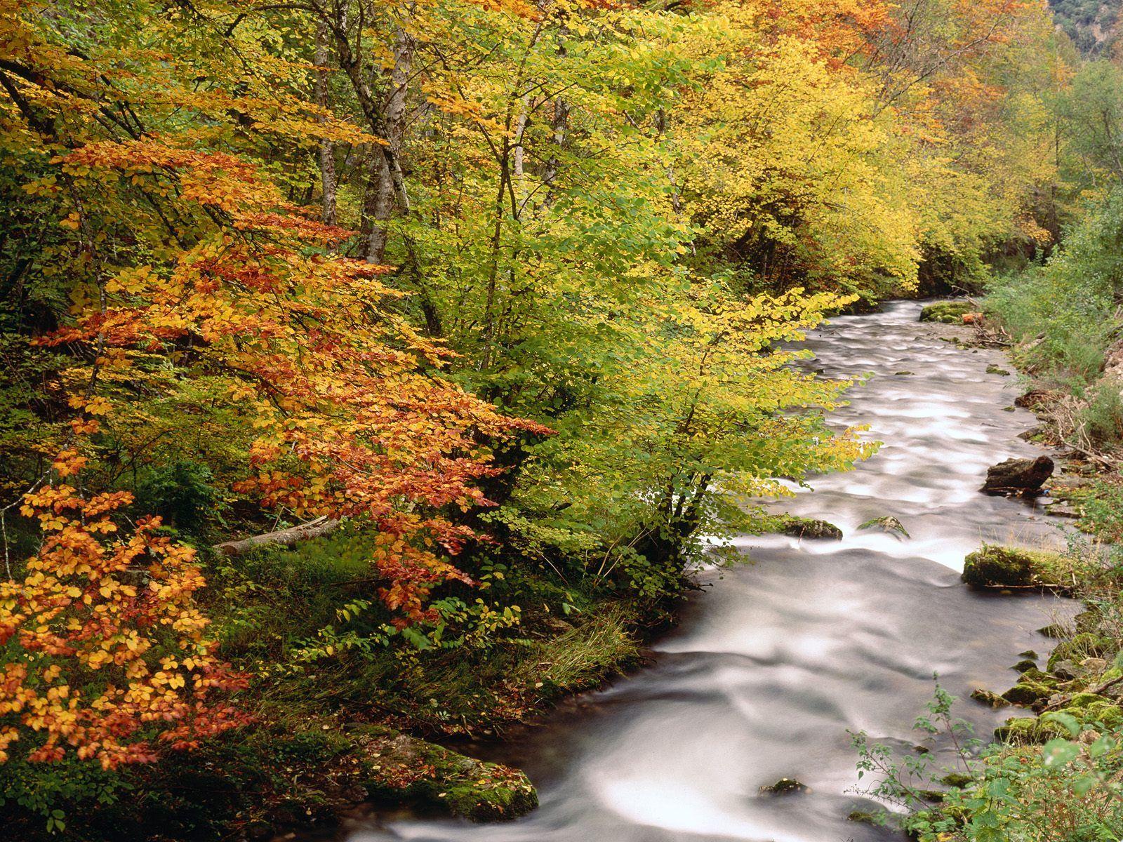 1600x1200 Wallpaper Asturias. Duvar Kagitlarin HD Facebook Kapak Resimi