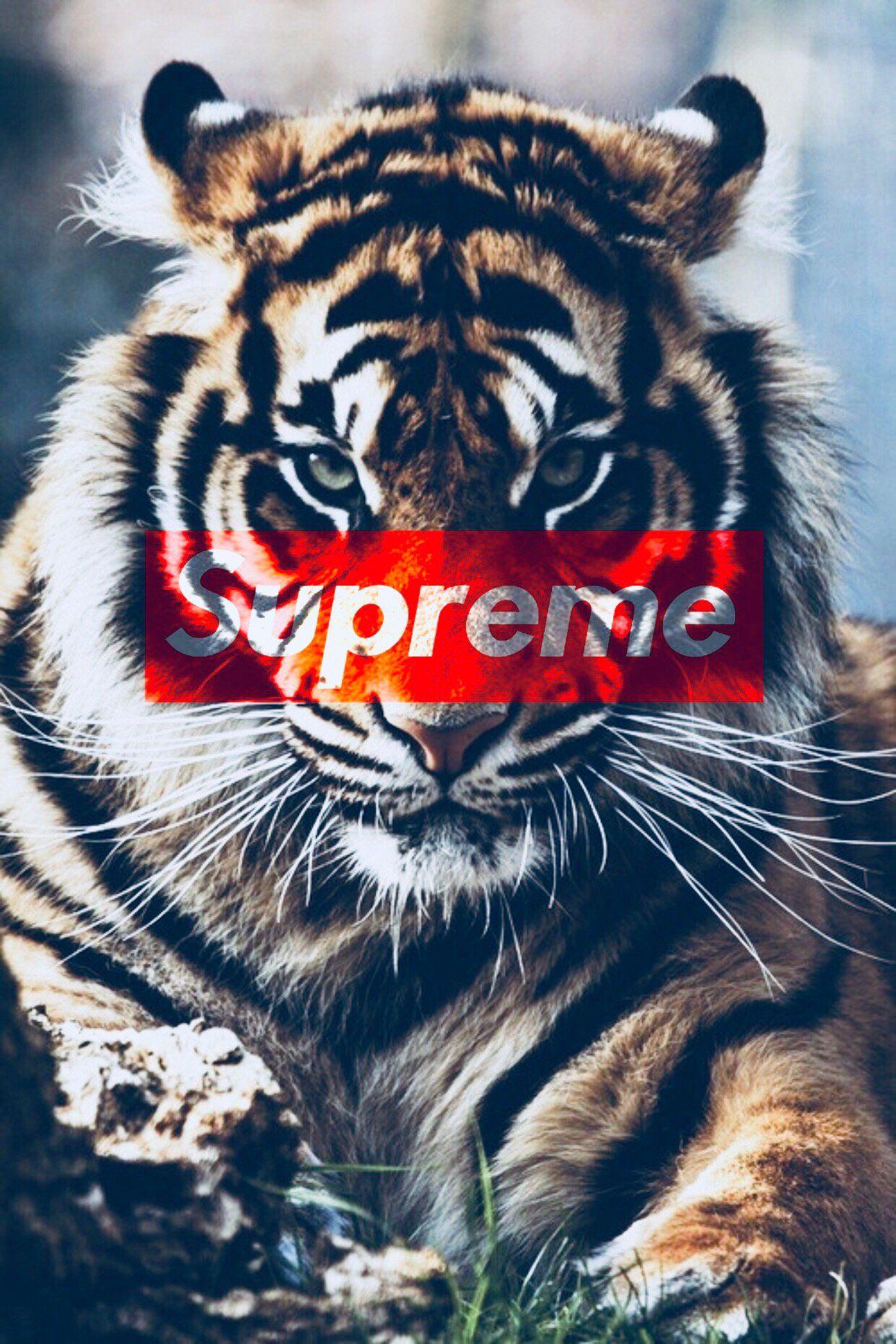 1242x1863 Tiger iPhone Wallpaper Supreme