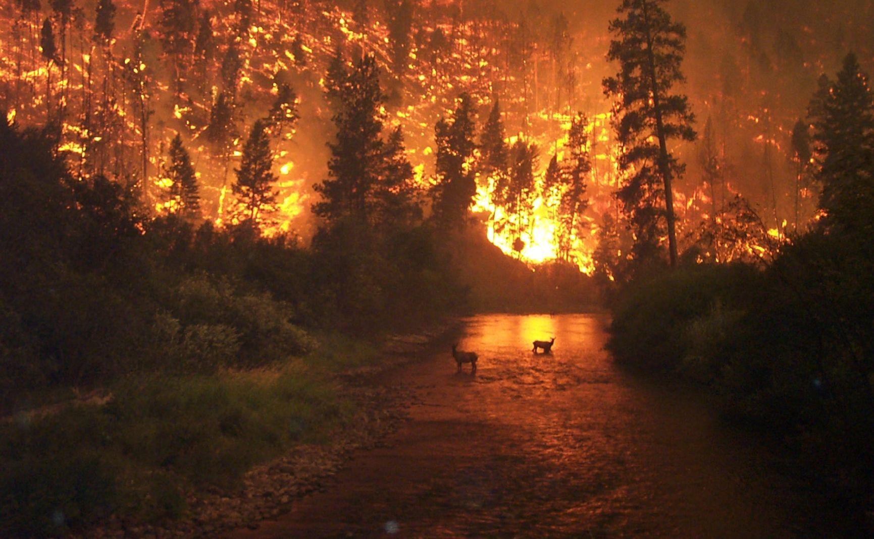 1731x1069 Hell Fire Wallpaper
