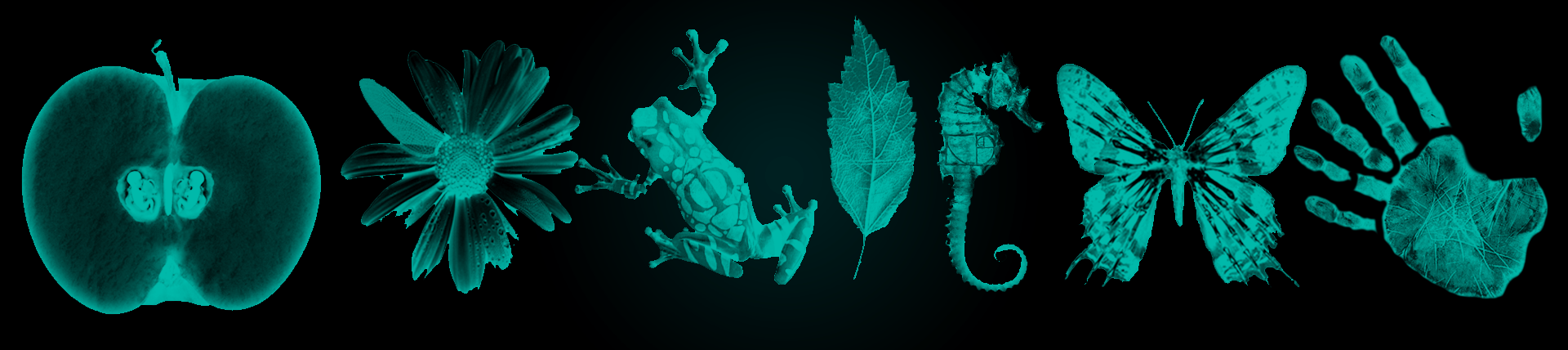 1920x428 Fringe Glyphs Icon Pack