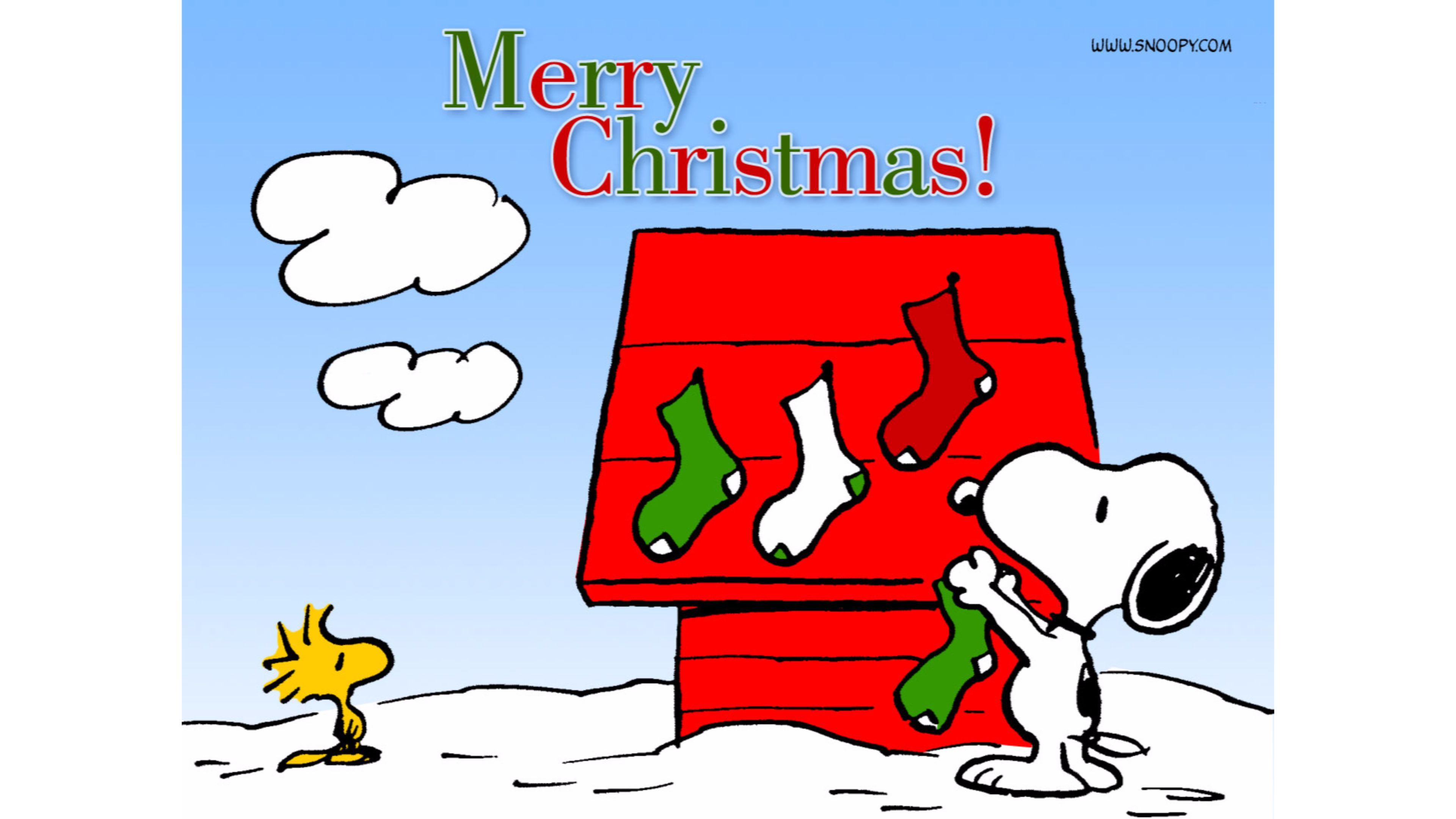 3840x2160 Snoopy 4K wallpaper for your desktop or mobile screen free and easy to download