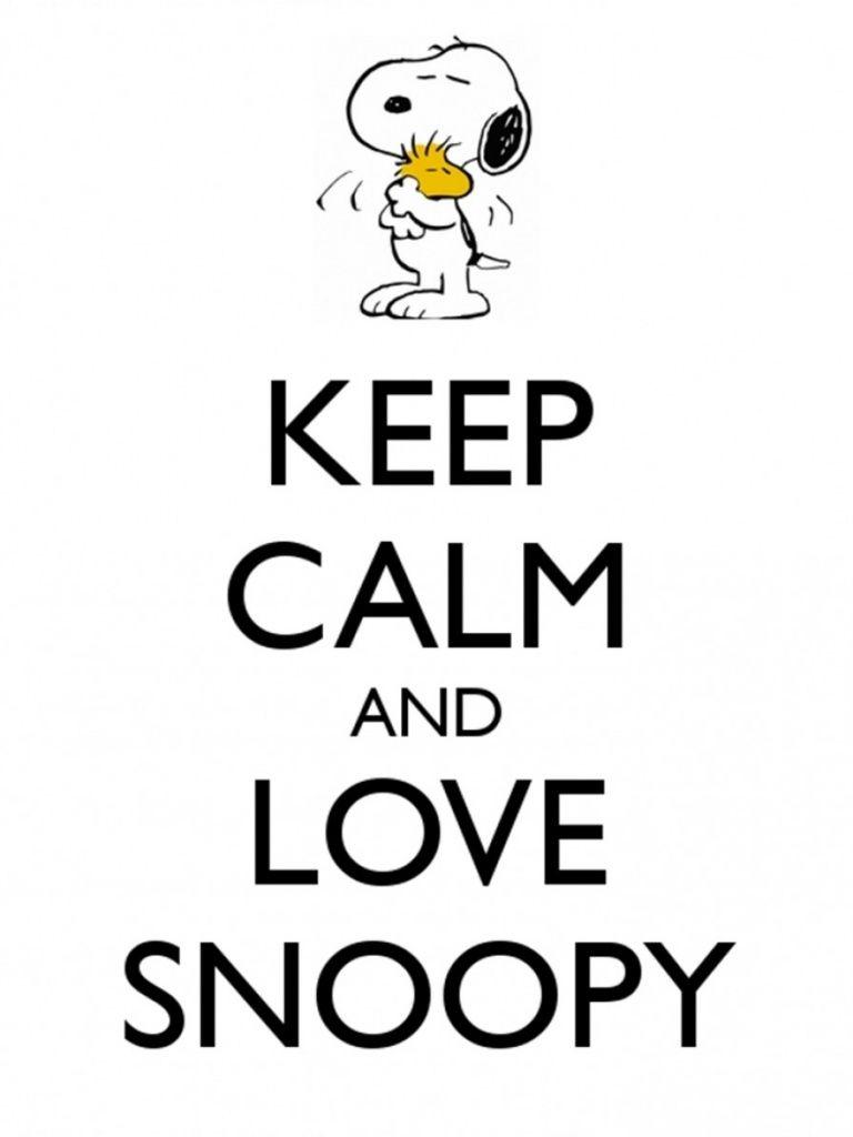 768x1024 Snoopy Wallpaper iPad Mini