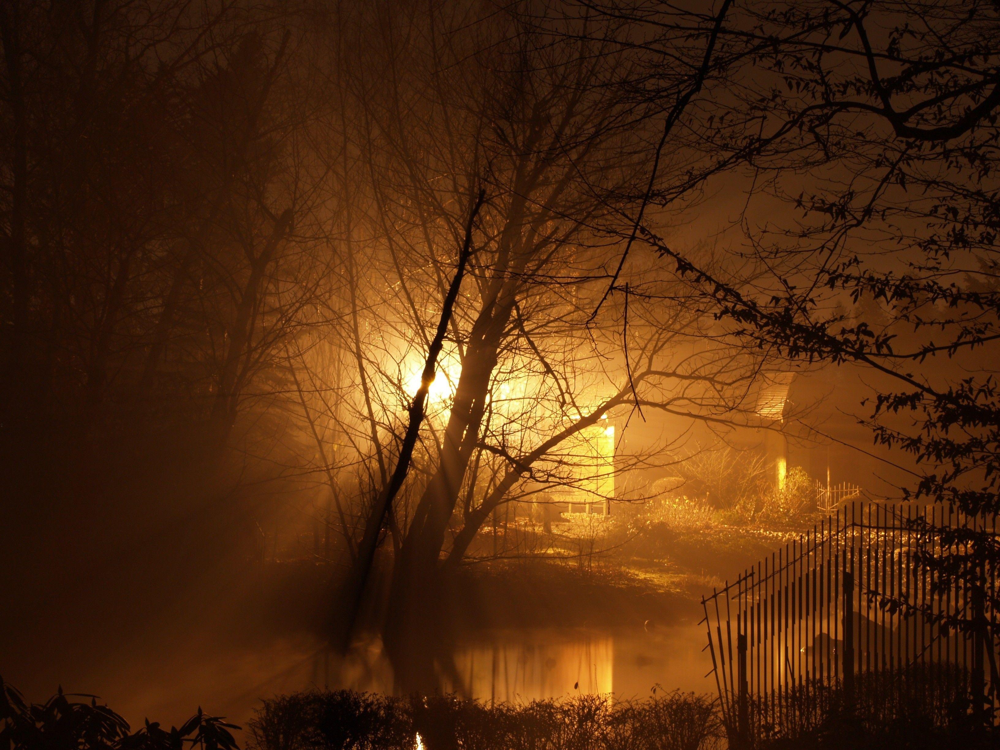 3264x2448 Japanese gardens wrocÅ‚aw dark light night wallpaper. AllWallpaper