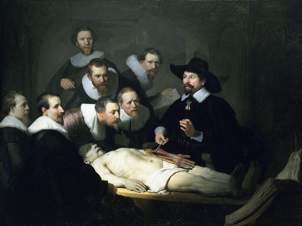 1024x768 The Anatomy