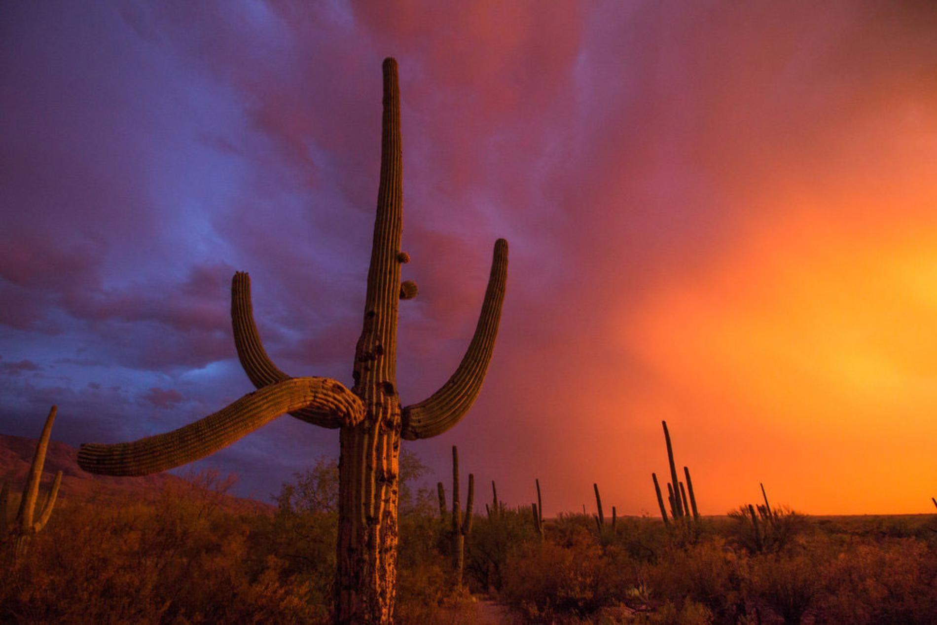 1900x1267 Picture of amazing sunsets in national parks