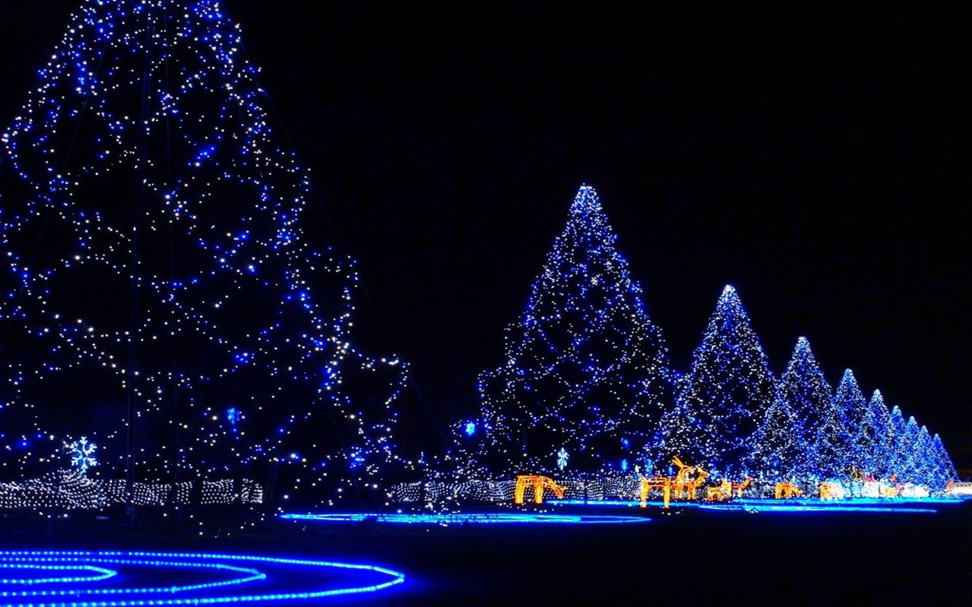 1920x1200 Free download Beautiful Christmas Tree Wallpaper Live HD Wallpaper HQ [1920x1200] for your Desktop, Mobile & Tablet. Explore Beautiful Christmas Wallpaper Free. Christmas Wallpaper For Desktop, Free Christmas Wallpaper