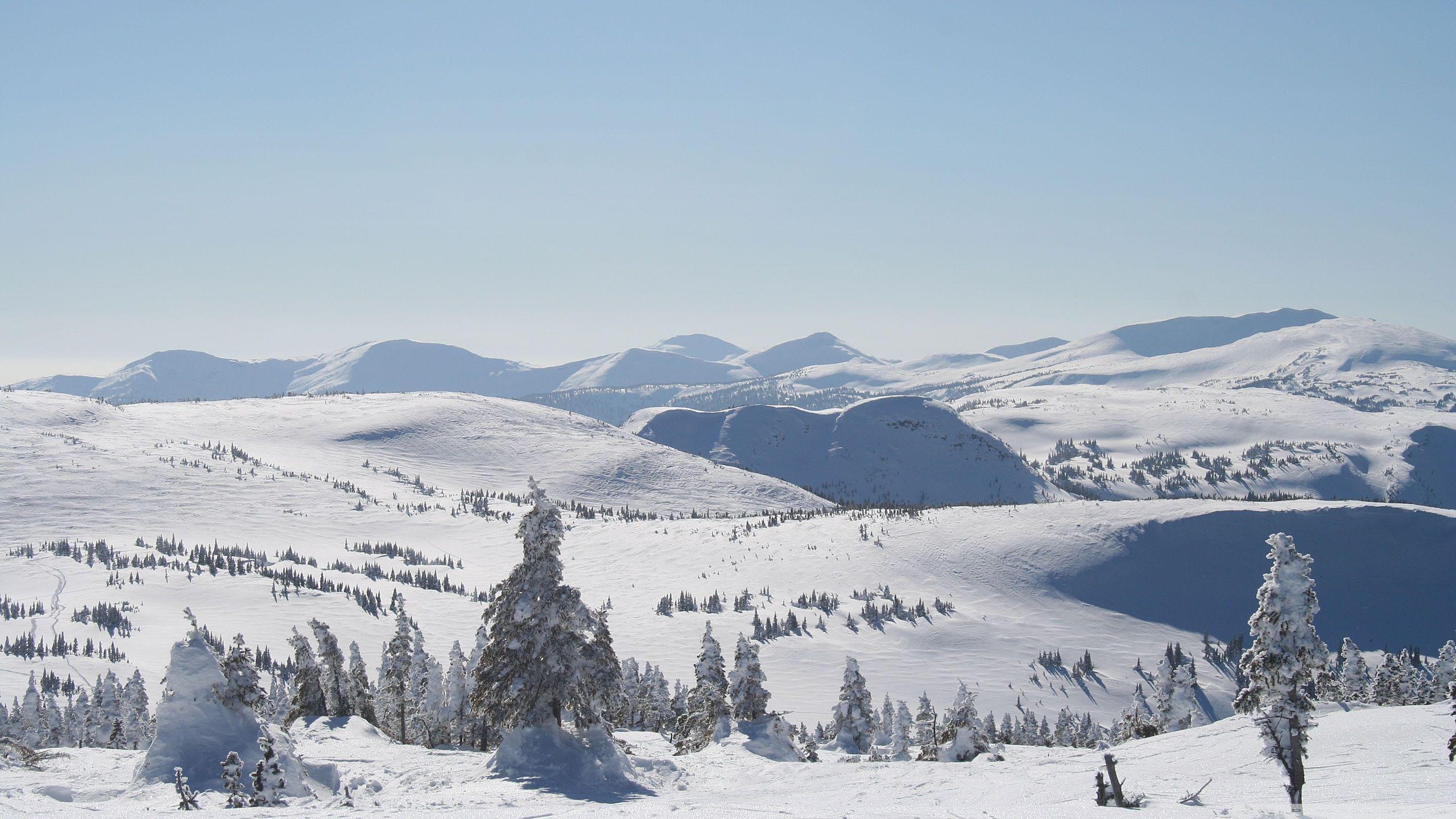 2560x1440 Backcountry of Powder King Ski Resort, Pine Pass, British Columbia, Canada Ultra HD Desktop Background Wallpaper for 4K UHD TV : Tablet