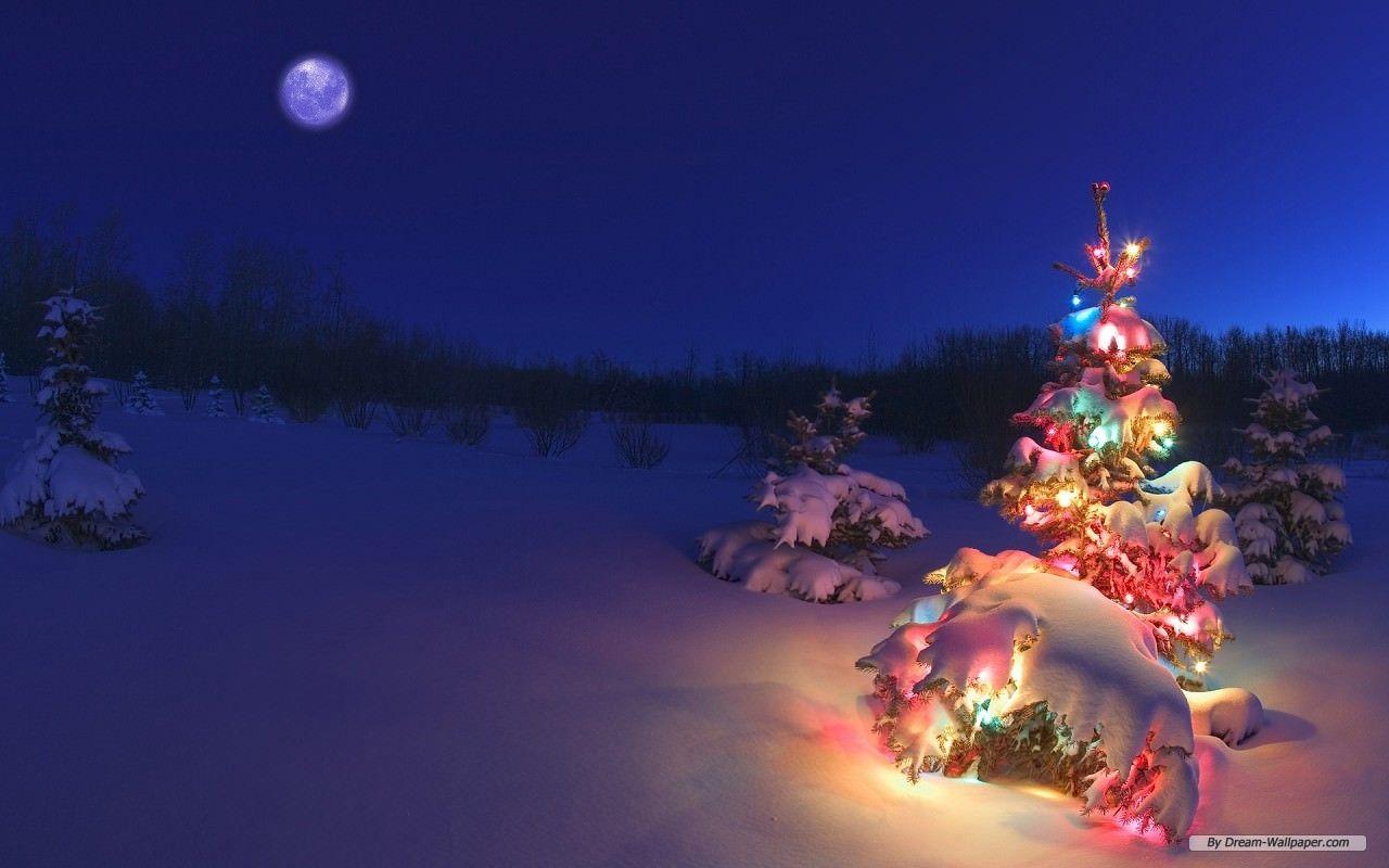1280x800 FREE Holiday Wallpaper in PSD