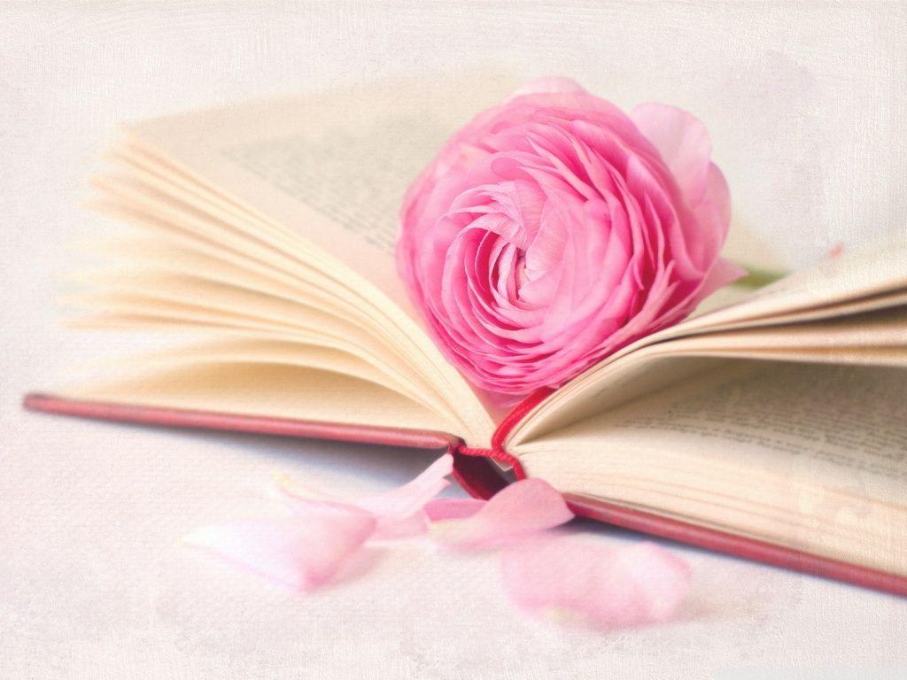 1024x768 Romantic Book ❤ 4K HD Desktop Wallpaper for 4K Ultra HD TV