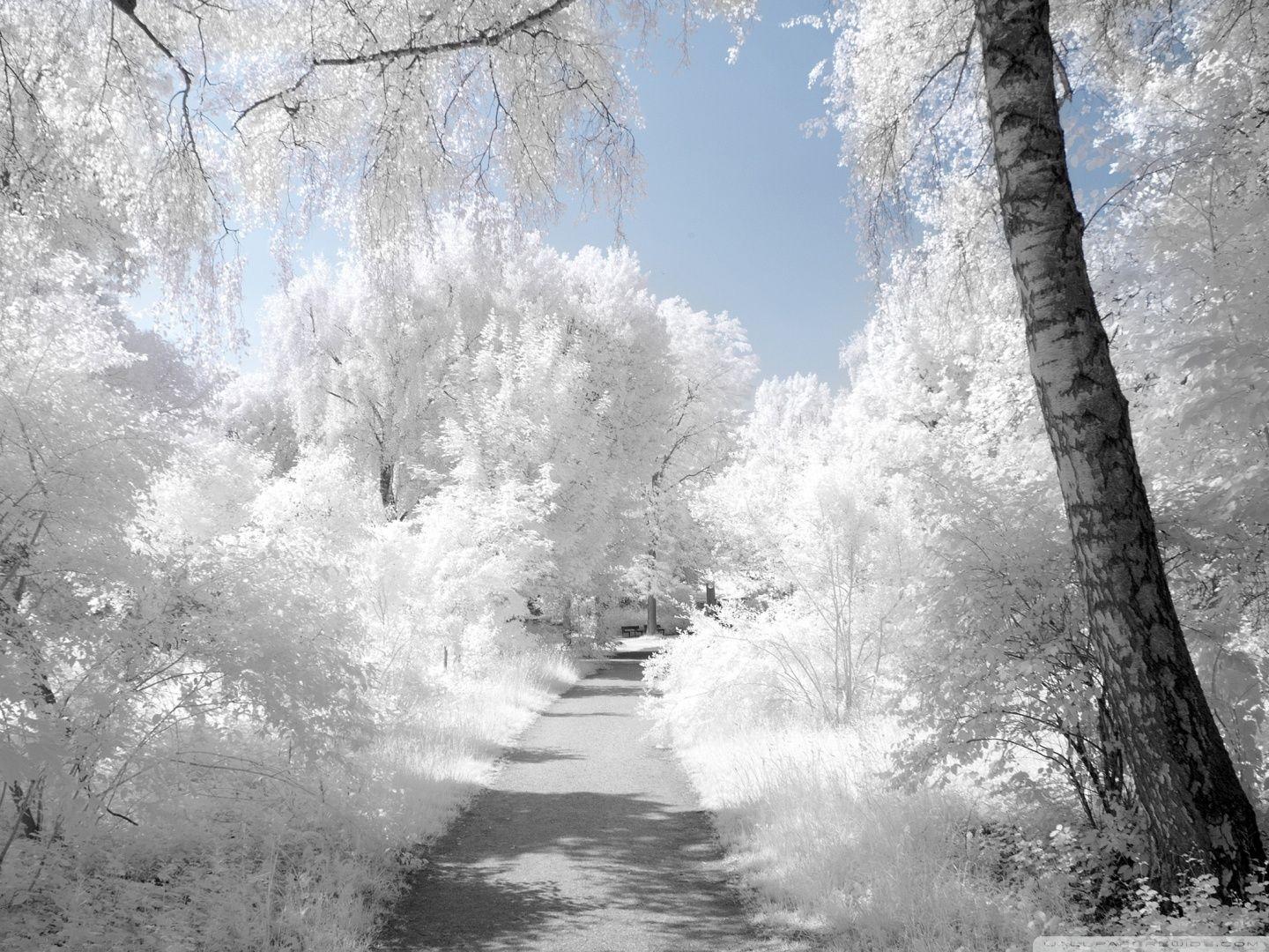 1440x1080 Winter Wallpaper For Desktop Wallpaper Beautiful Winter Beautiful Wallpaper HD HD Wallpaper