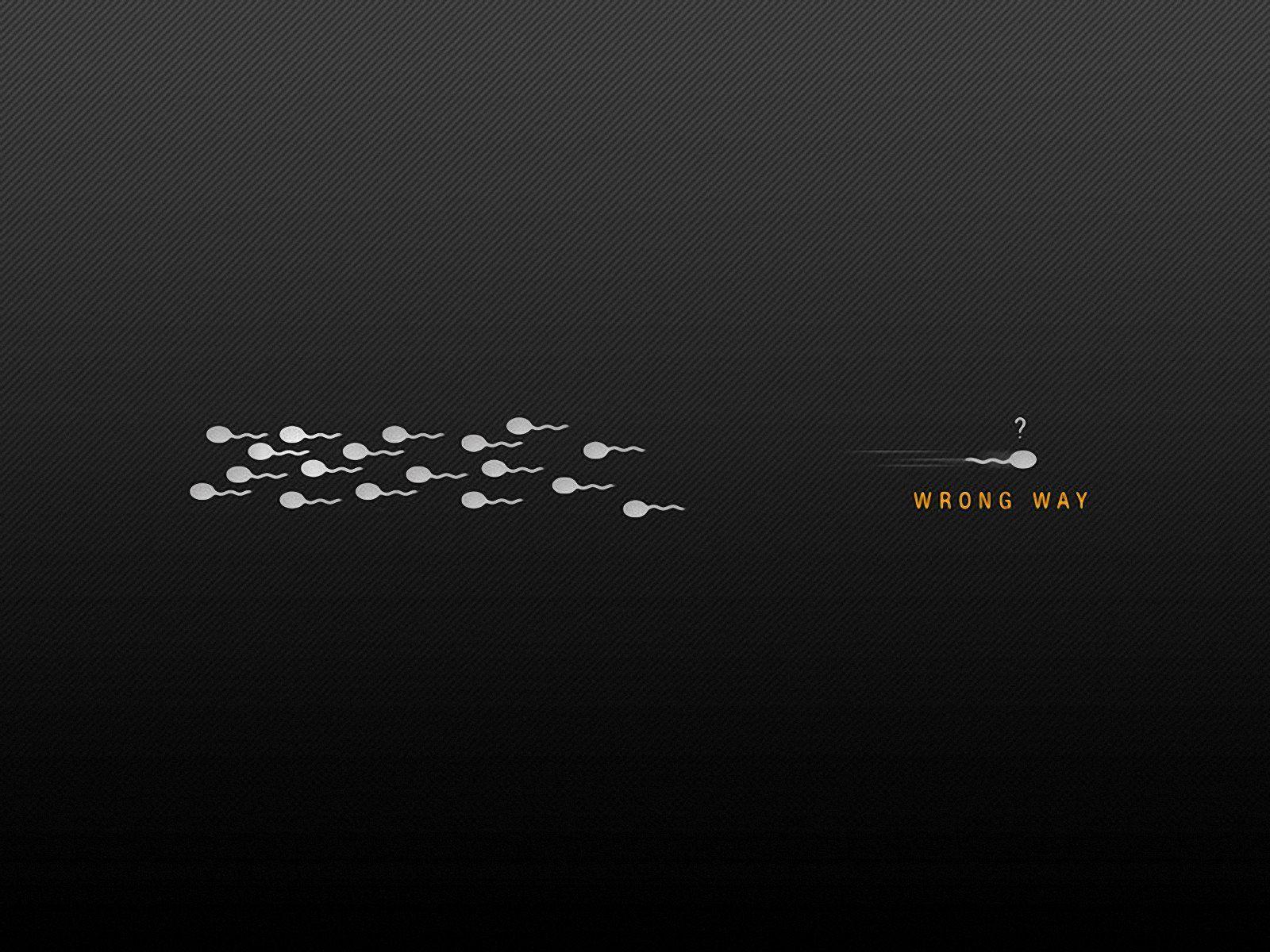 1600x1200 Funny Work Wallpaper for Desktop