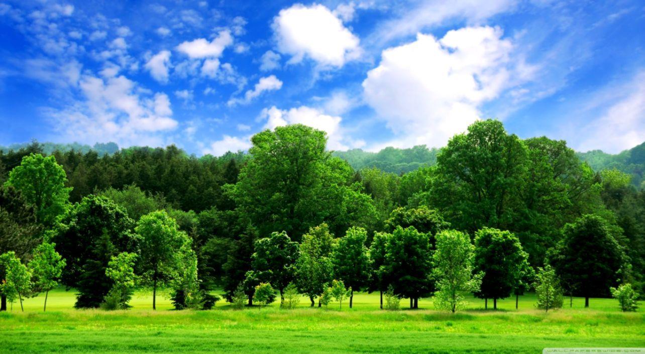 1284x706 11++ Beautiful Summer HD Wallpaper