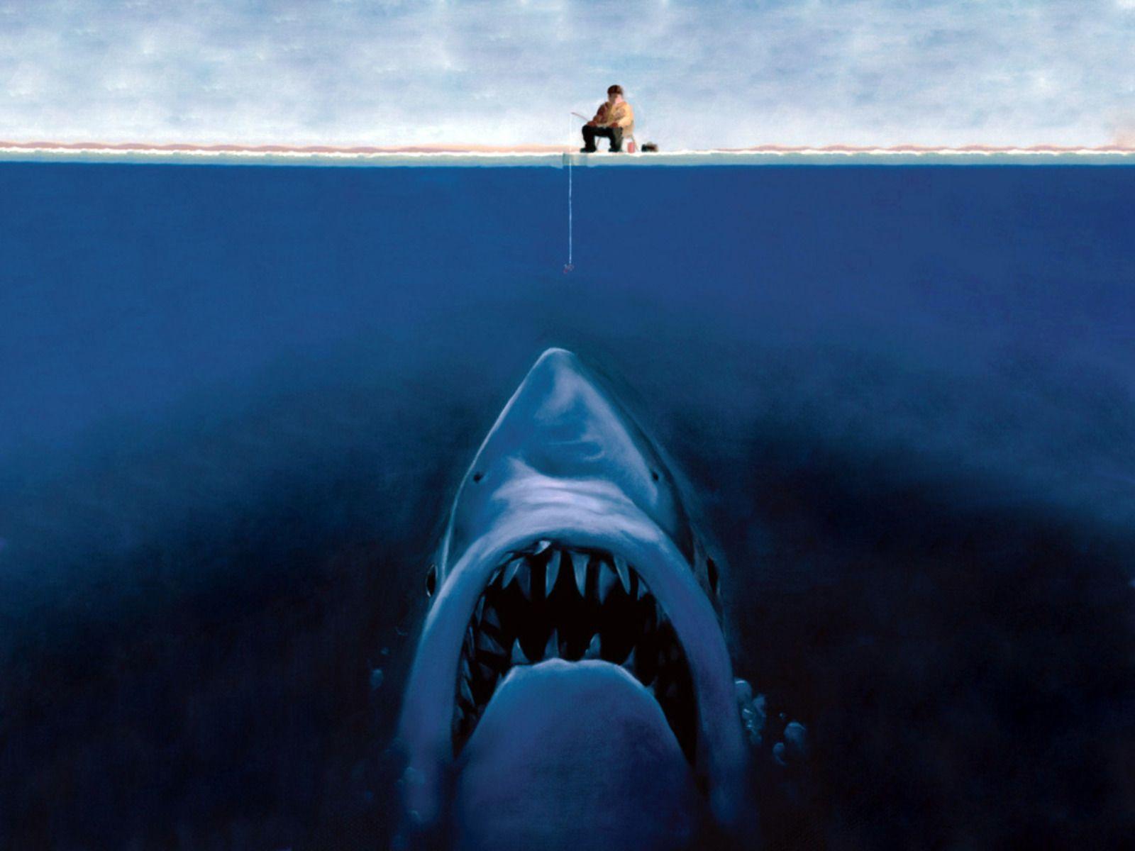1600x1200 Funny HD Background