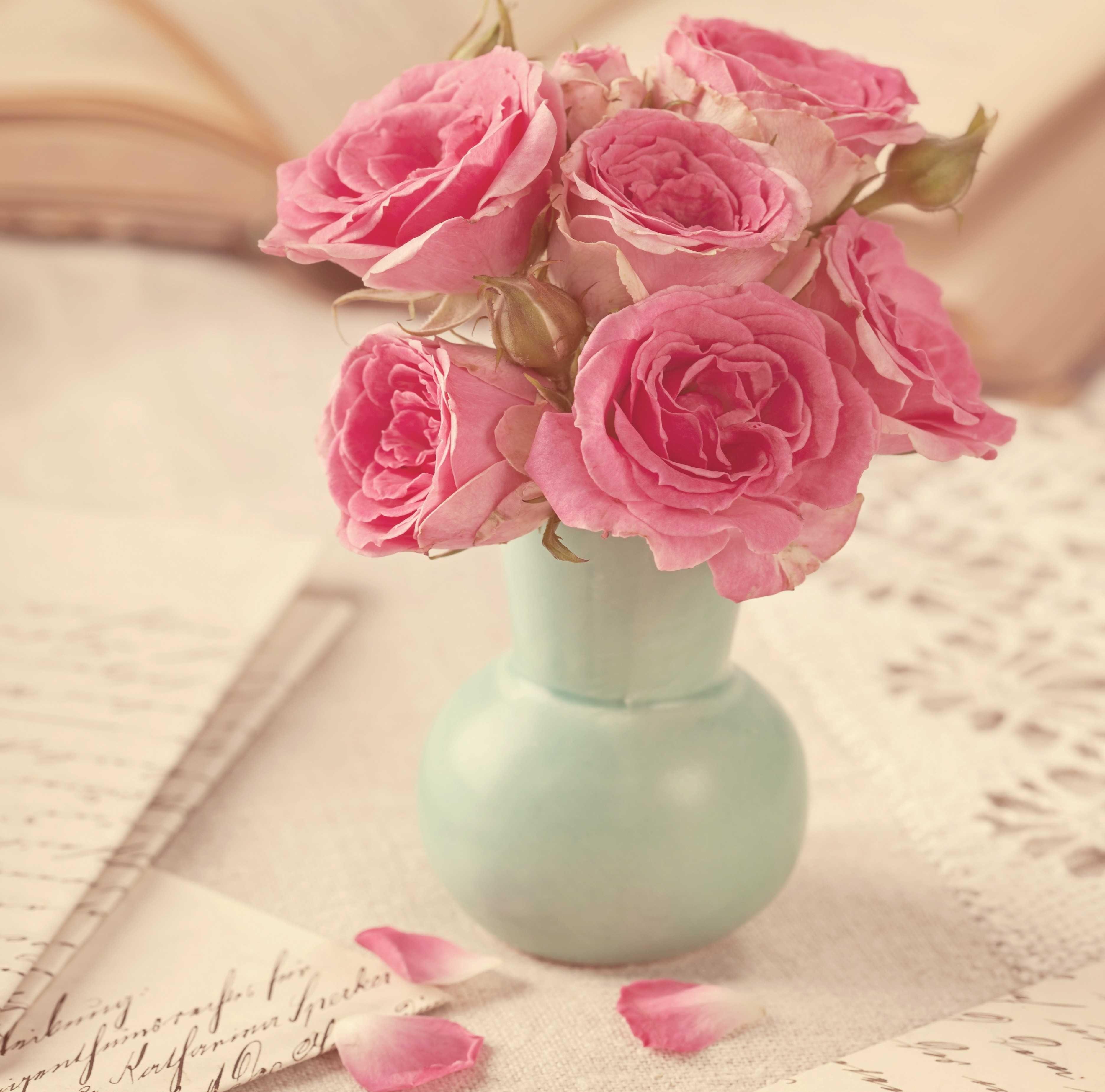 3744x3700 Flower Vintage Roses Flowers Bouquet Romance Pink Vase Aster HD