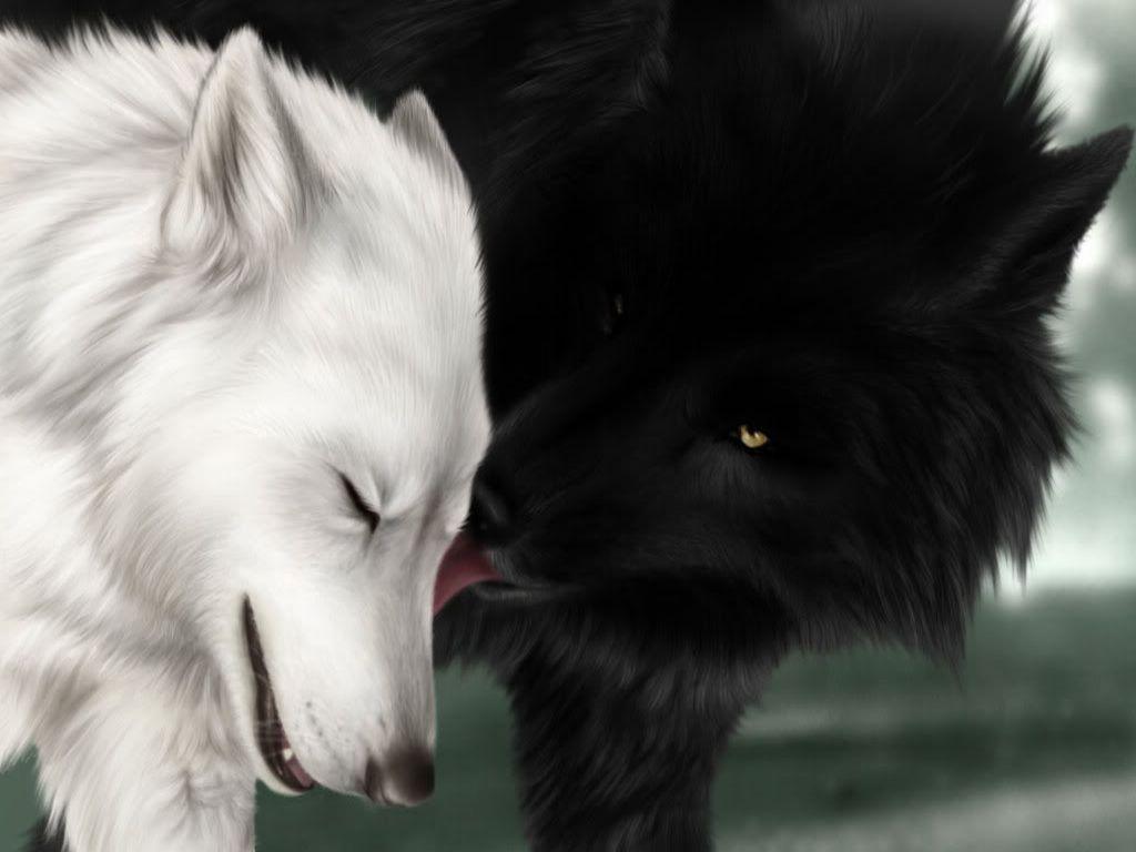 1024x768 Beautiful Black And White Wolf Wallpaper