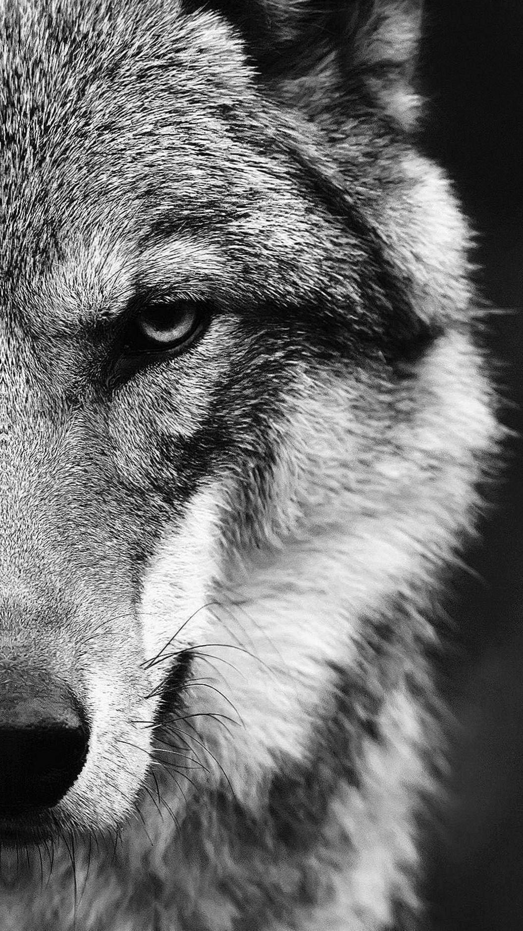 1056x1879 Beautiful Wolf Wallpaper