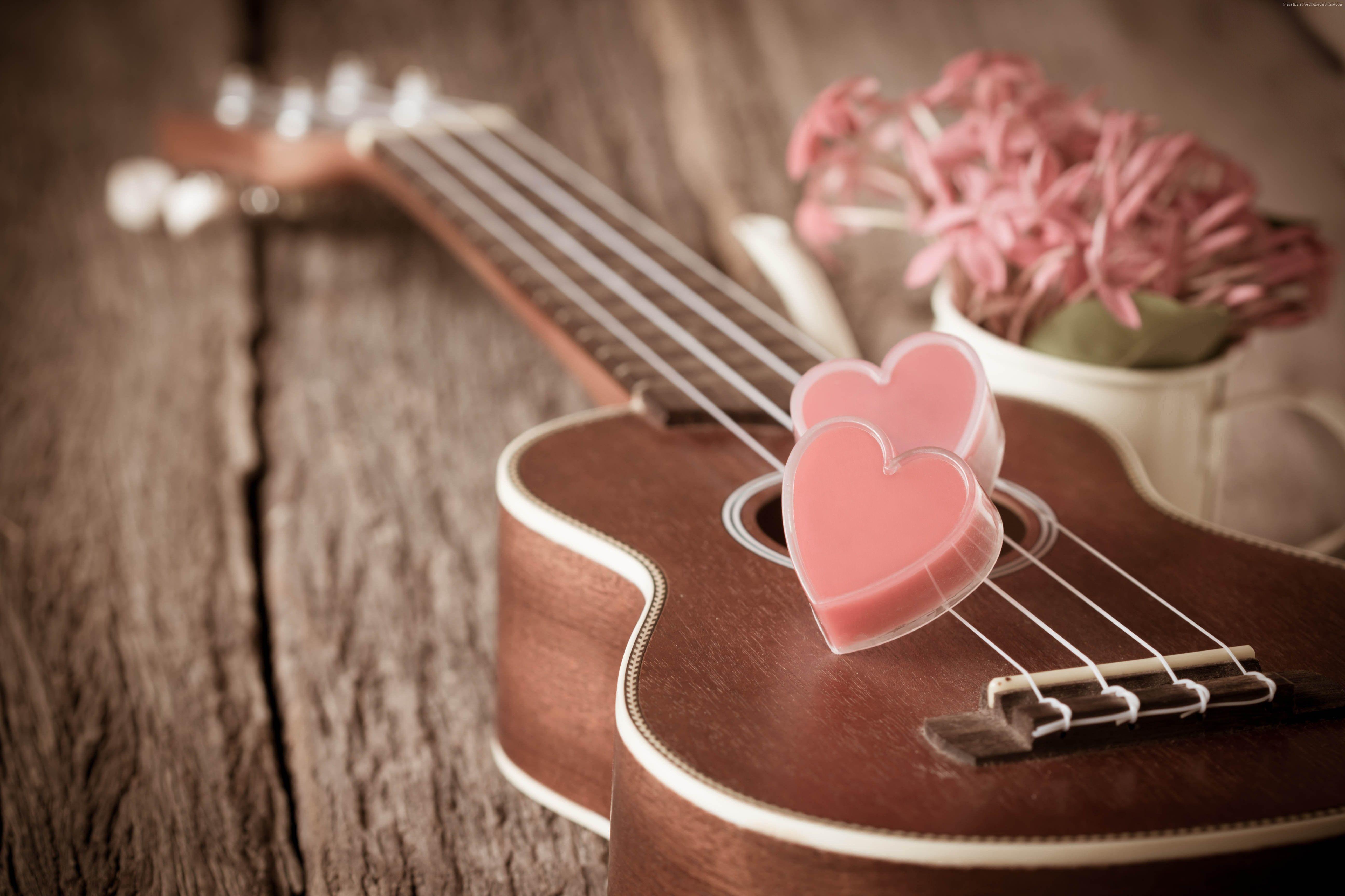 Самая нежная мелодия. Гитара. Романтические обои на рабочий стол. Музыкальные инструменты и цветы. Гитара обои.