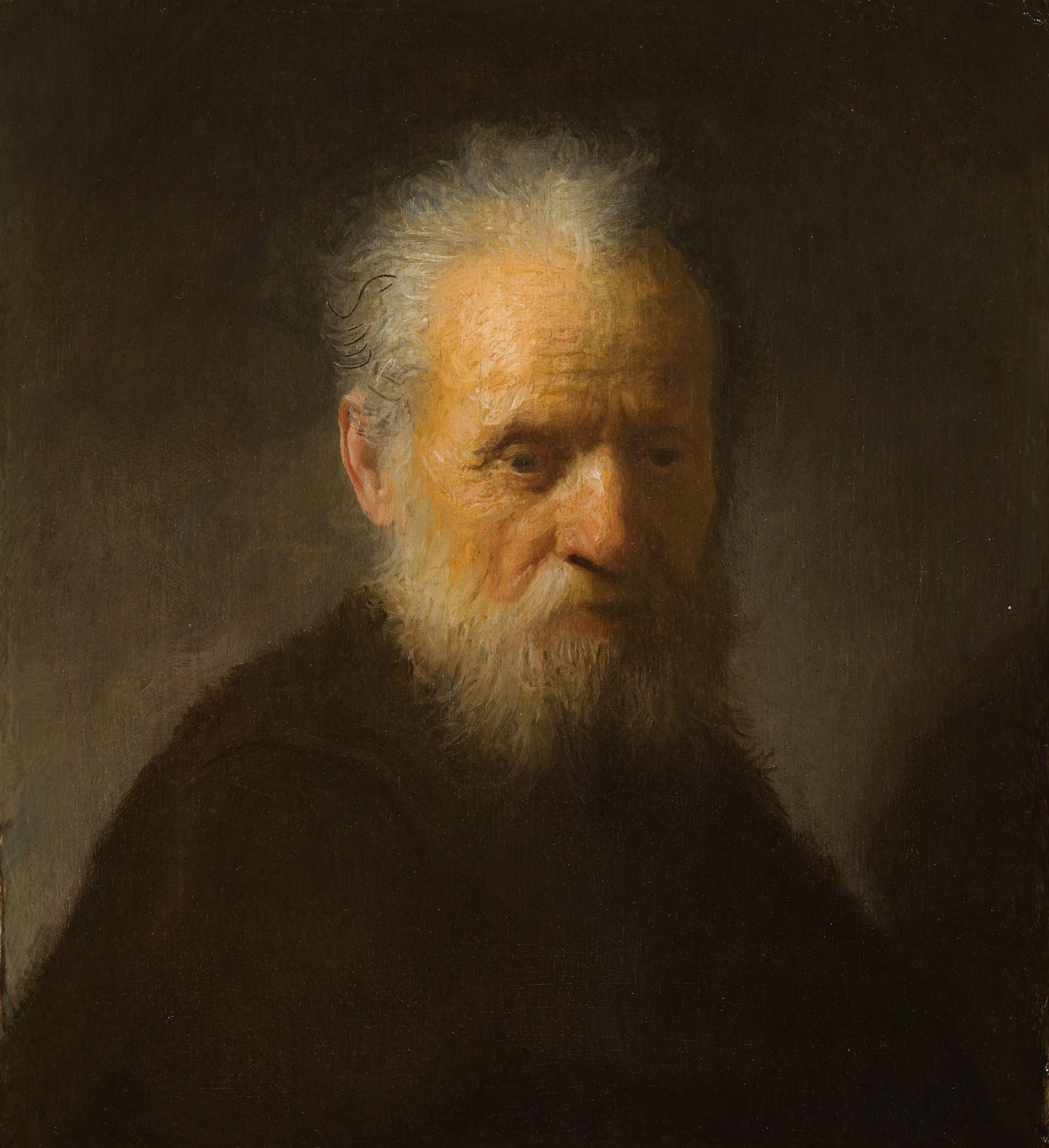 2362x2585 Rembrandt Wallpaper