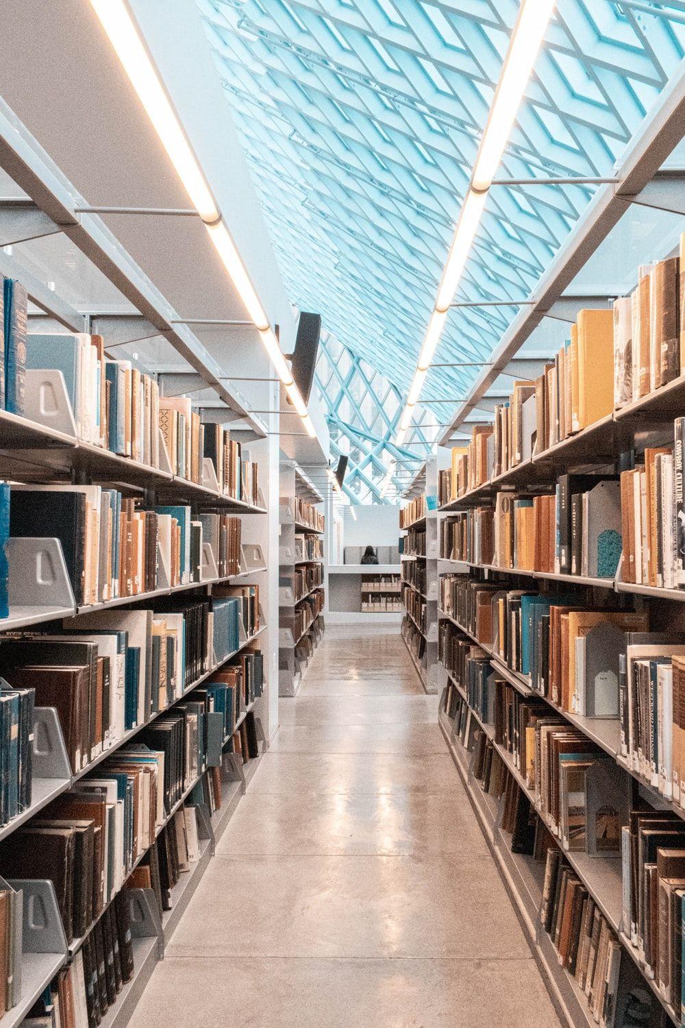 1000x1500 Library Picture [HD]. Download Free Image