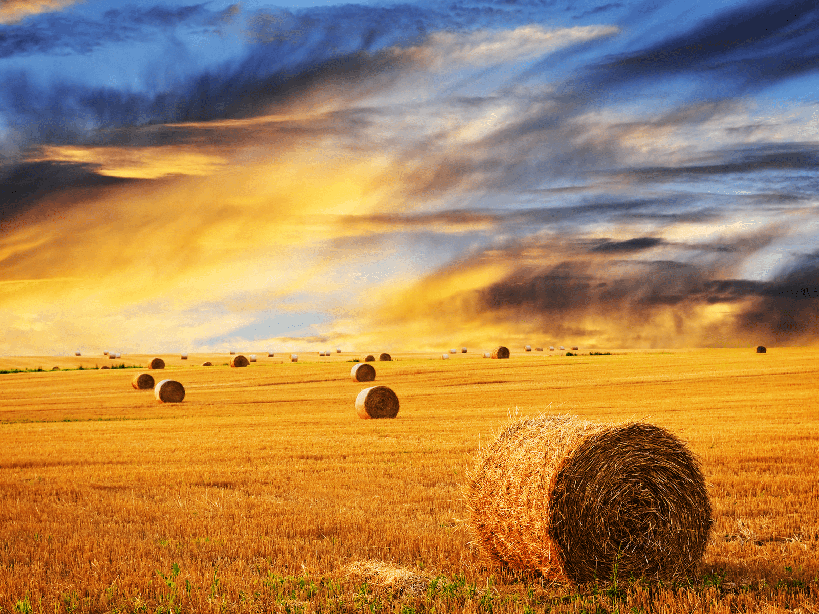 1600x1200 Desktop Wallpaper Farm Scenes