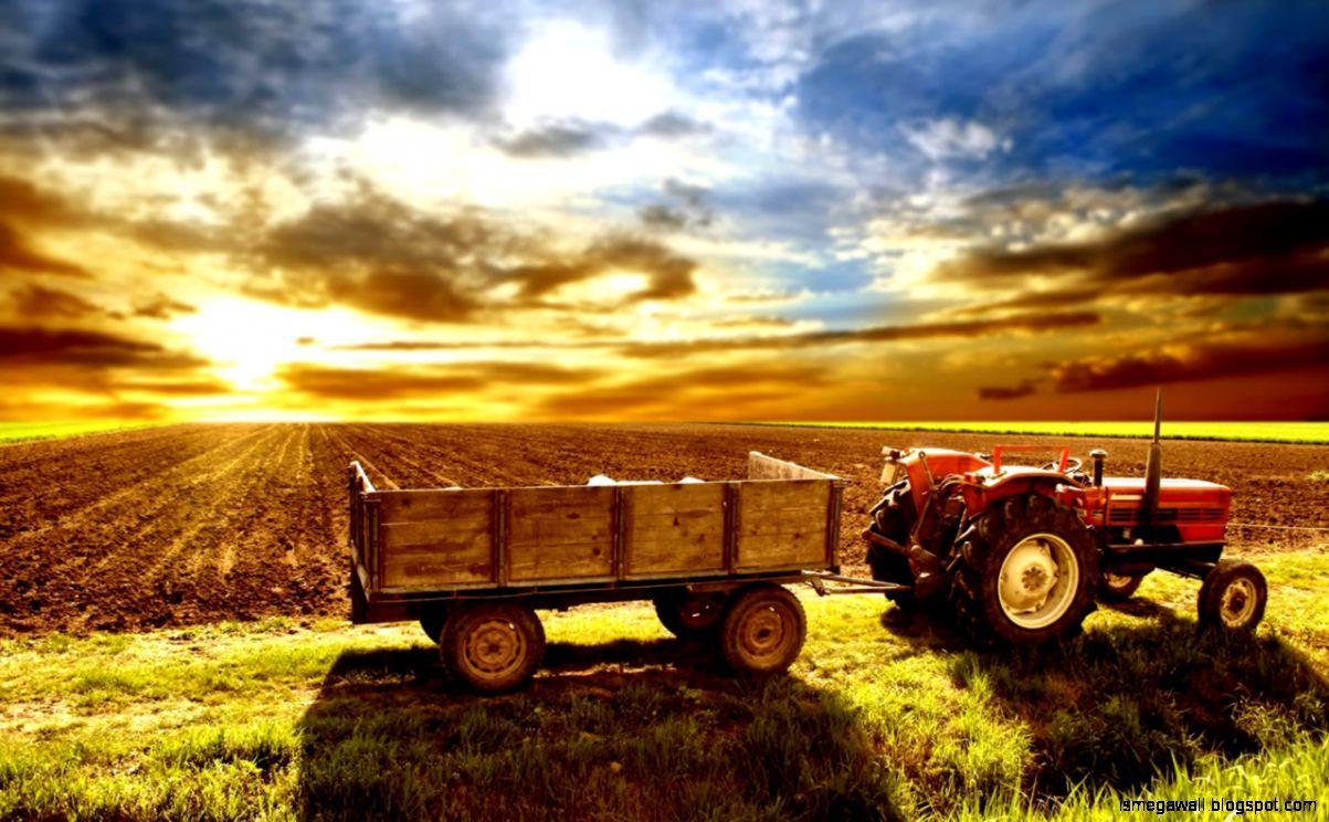 1203x744 Farm Desktop Wallpaper