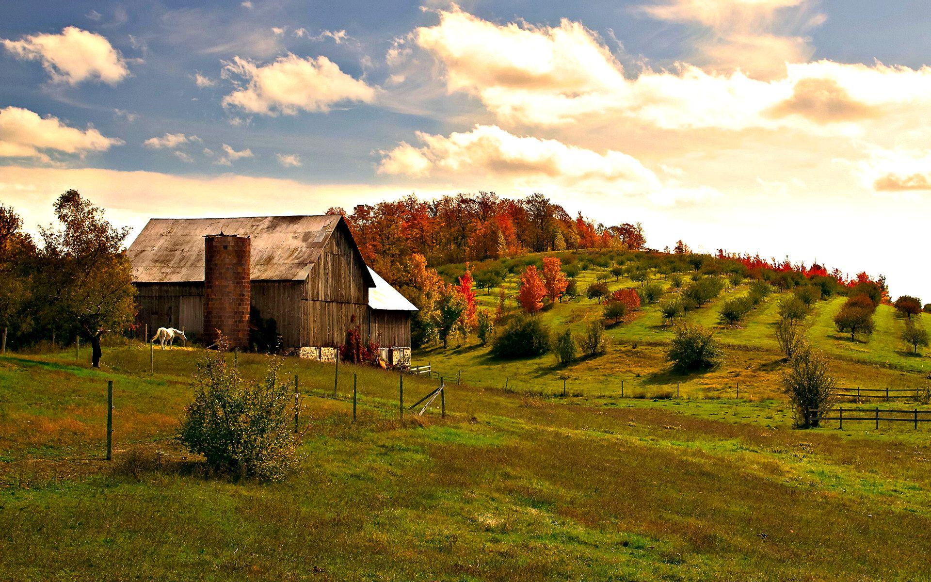 1920x1200 Fall Computer Wallpaper Desktop Background Id313724 Farm Landscape Photography HD Wallpaper