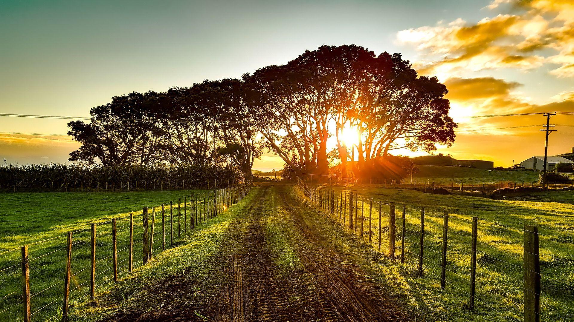 1920x1079 Most Beautiful Farm Background Wallpaper of 2020