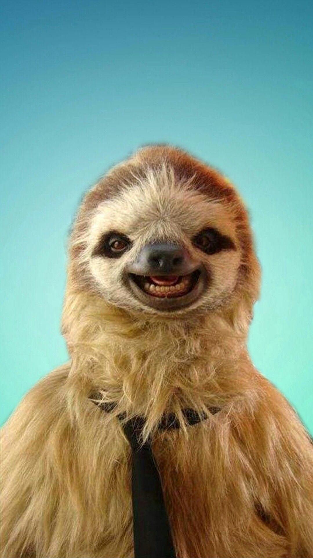 springtime sloth wallpaper