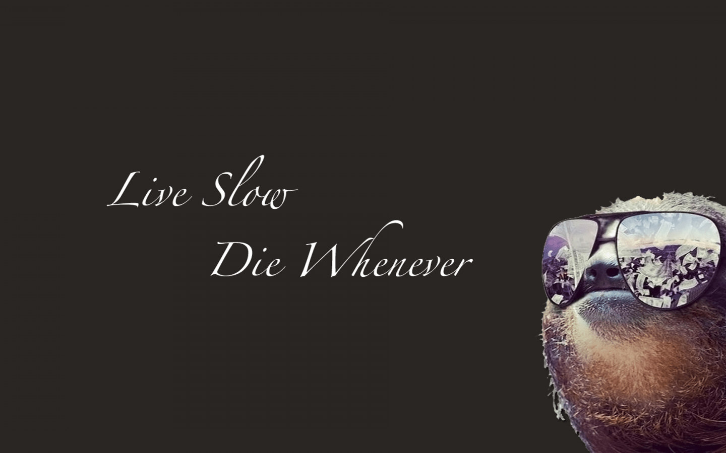 1440x900 Free download 1920x1080 Funny Sloth Wallpaper Wallpaper HD [1920x1080] for your Desktop, Mobile & Tablet. Explore Funny Sloth Wallpaper. Free Wallpaper Sloth, HD Sloth Wallpaper, Baby Sloth Wallpaper