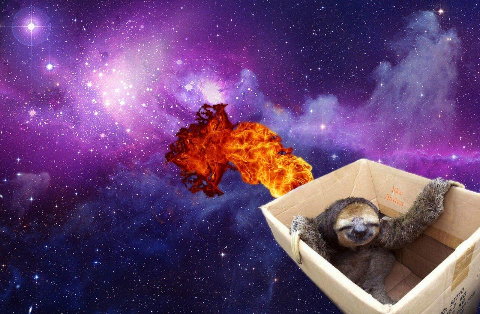 1600x1047 Sid the Sloth Wallpaper. Money Sloth Wallpaper, Weird Sloth Background and Sloth Astronaut Wallpaper