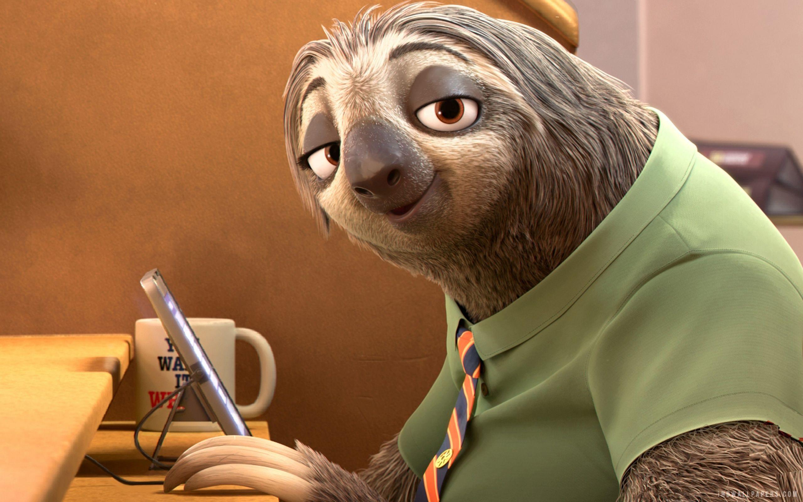 Funny Sloth Wallpapers - Top Free Funny Sloth Backgrounds - WallpaperAccess