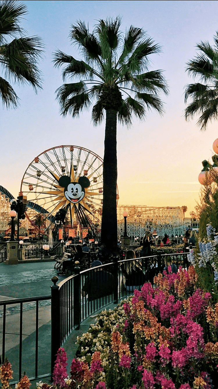 750x1334 Wallpaper. Disneyland photography, Disney photography, Disney background