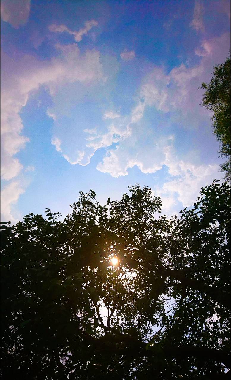 778x1280 Nature miracle wallpaper