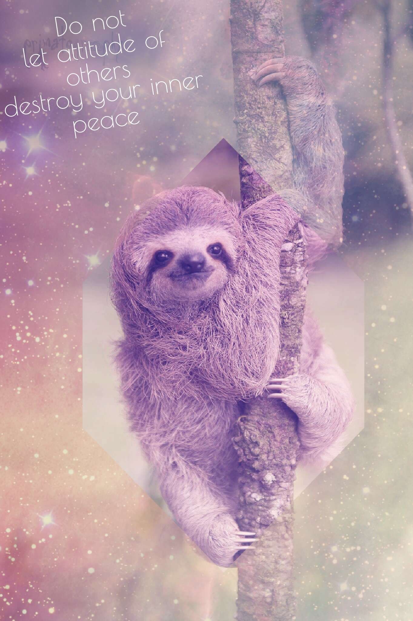 lazy sloth wallpaper