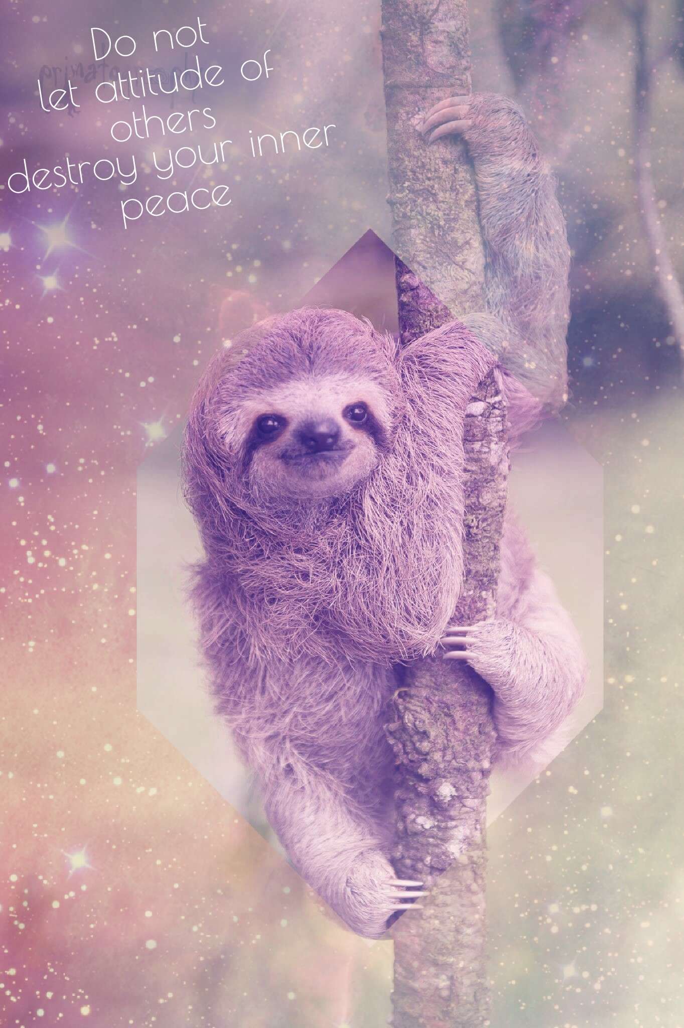 cell phone wallpapers tumblr sloths