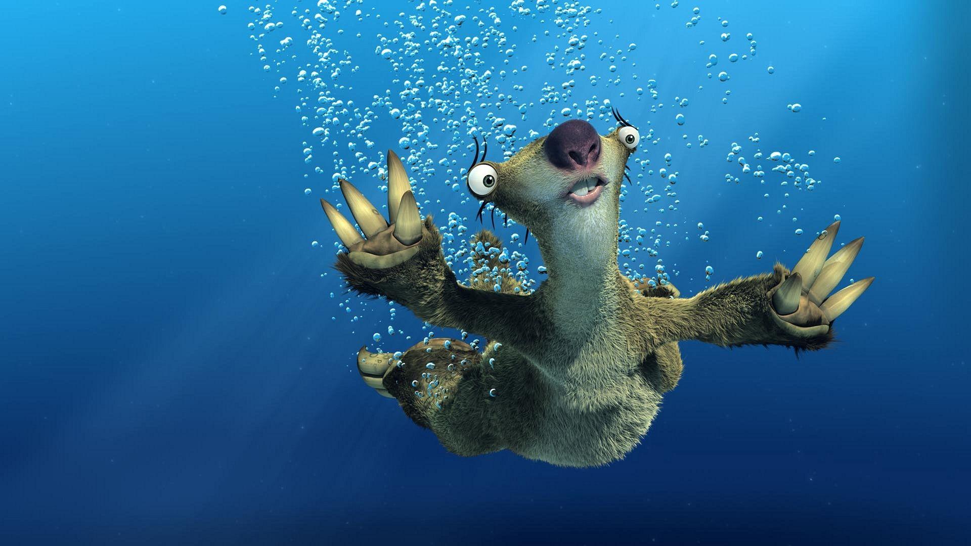 1920x1080 Funny Sloth Picture Background HD Wallpaper Funny Sloth Picture 531 - Sloth Desktop Wallpaper