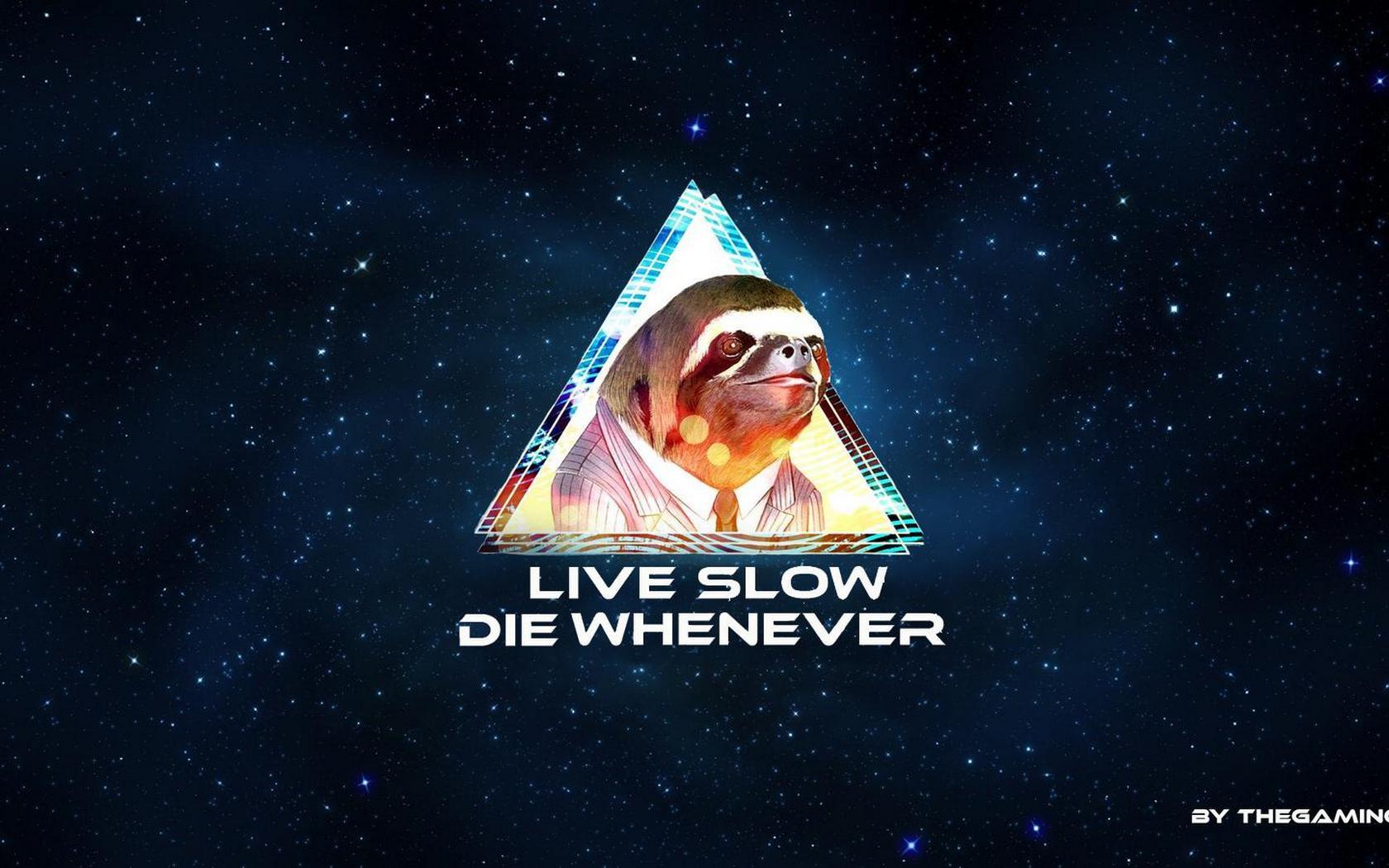 1680x1050 Sloth High Resolution Pics