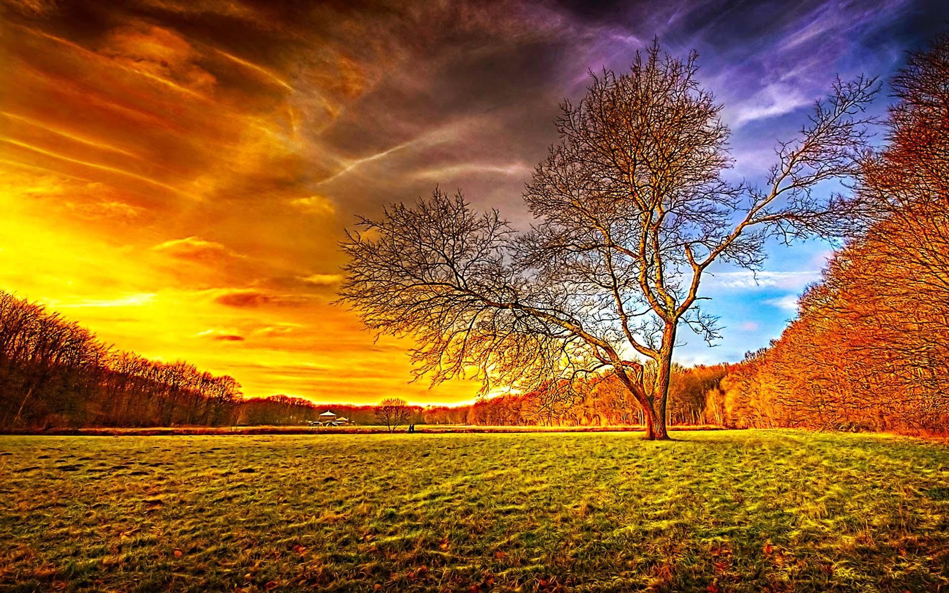 1920x1200 Middle East HD Wallpaper