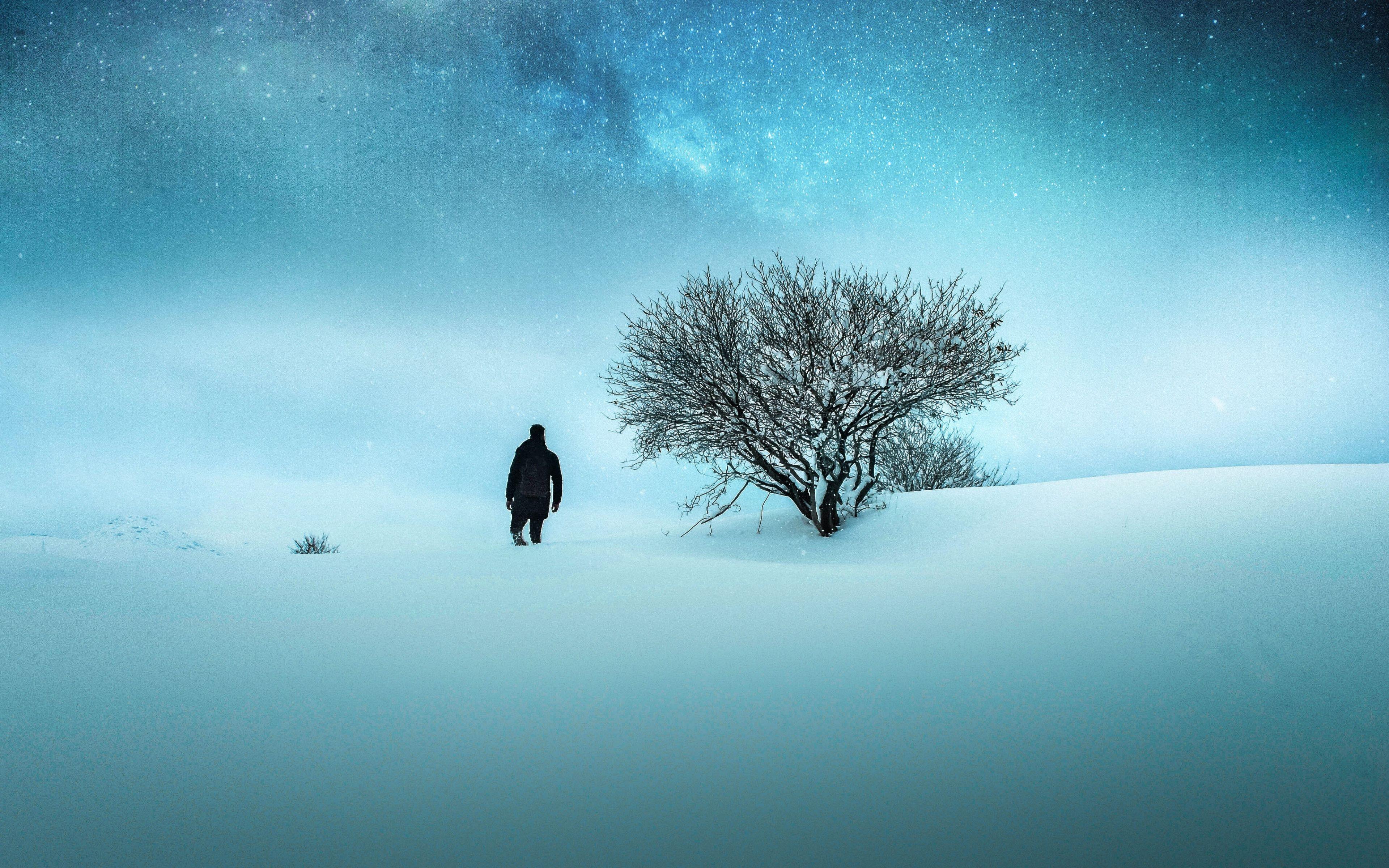 3840x2400 Download Winter, landscape, night out, man and tree wallpaper, 3840x 4K Ultra HD 16: Widescreen