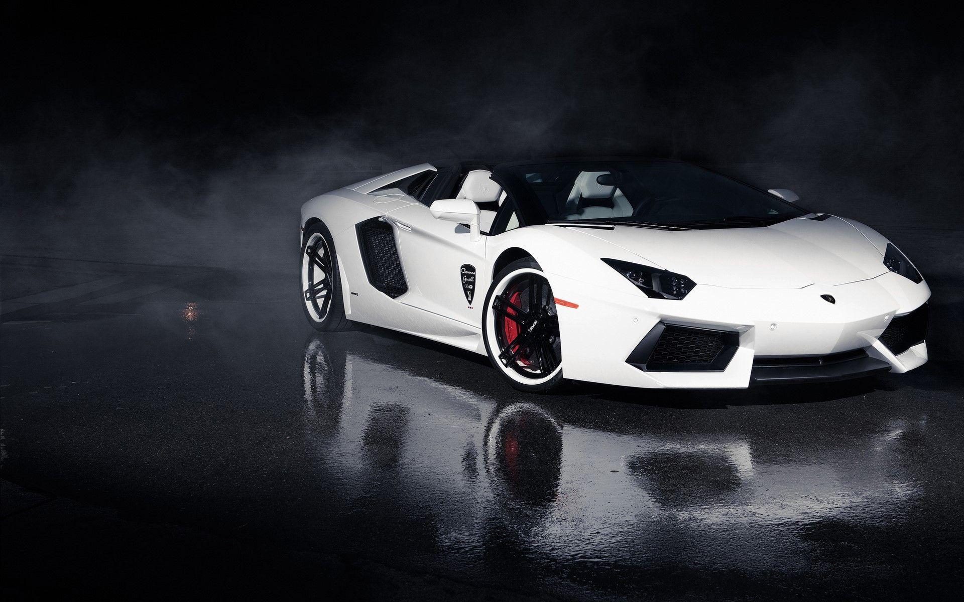 1920x1200 Lamborghini Cars : Lamborghini Aventador White Color Super Car 4k