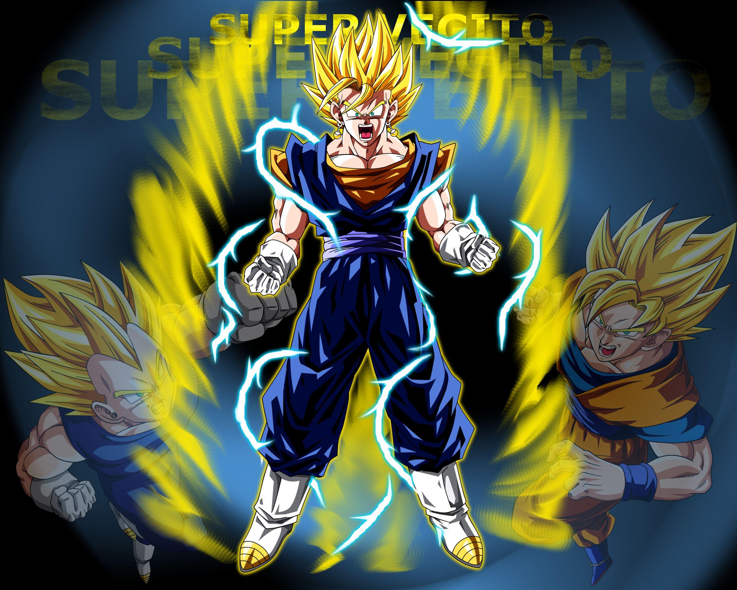 2500x2000 Vegito Wallpaper