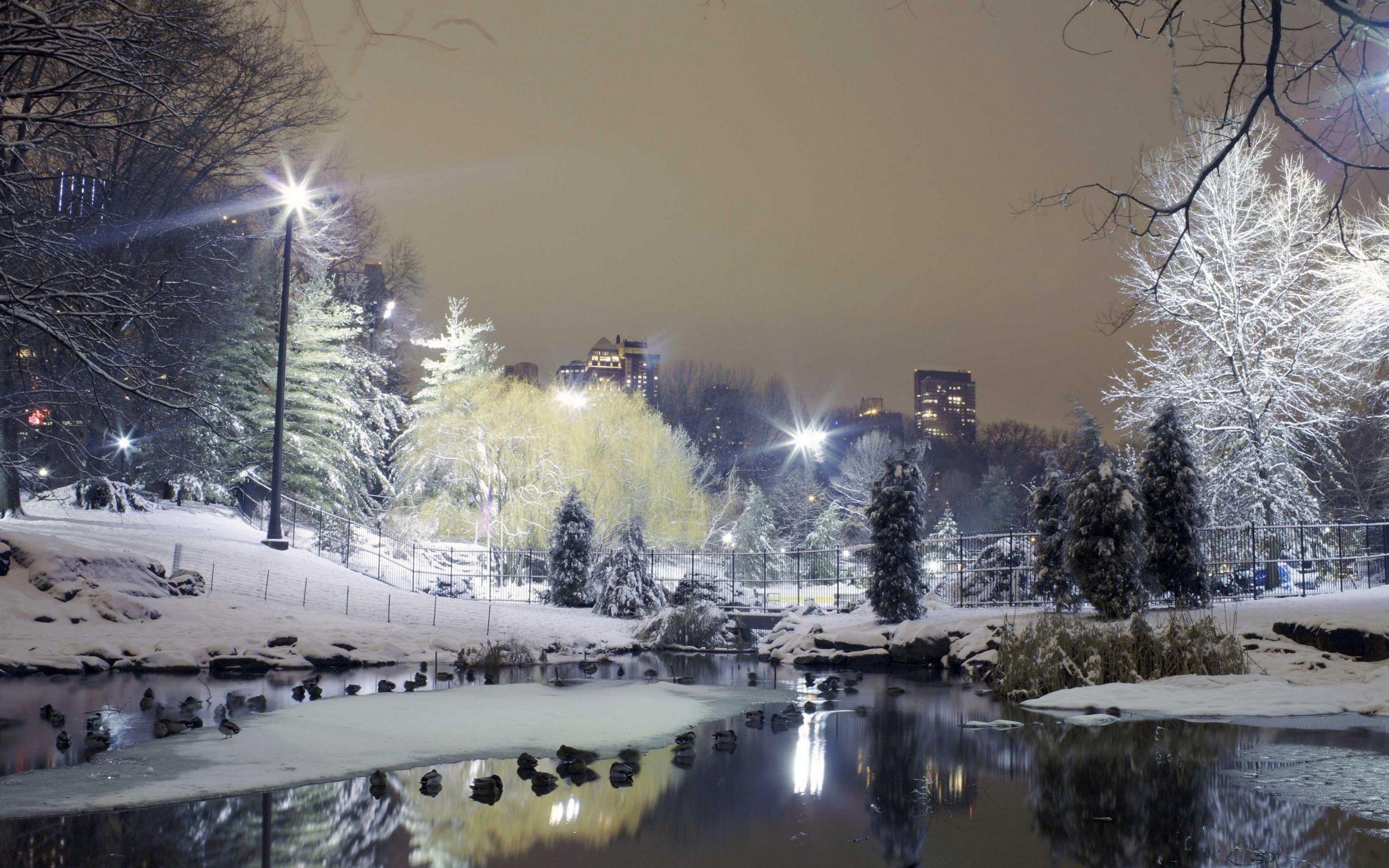 2560x1600 Wallpaper 4k city, park, trees, winter, snow, lights 4k City, Park, Trees
