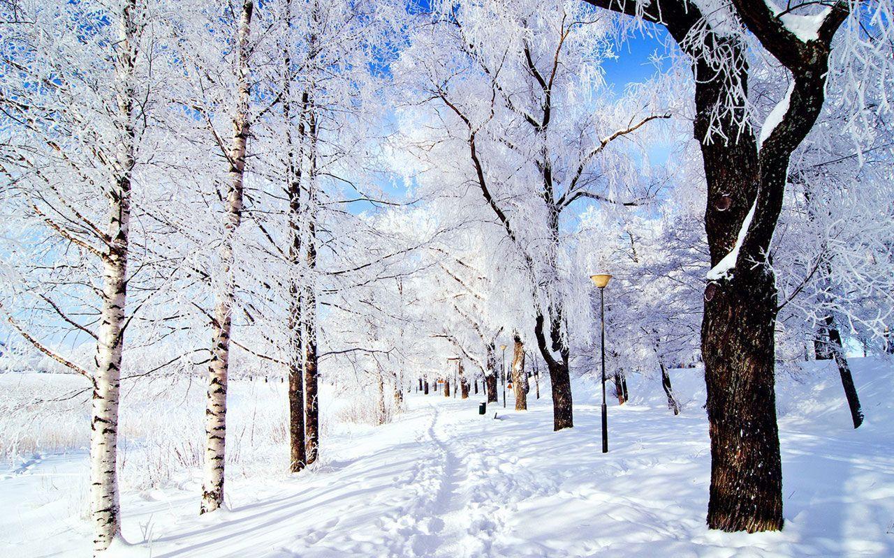 1280x800 Winter Aesthetic Desktop Wallpaper