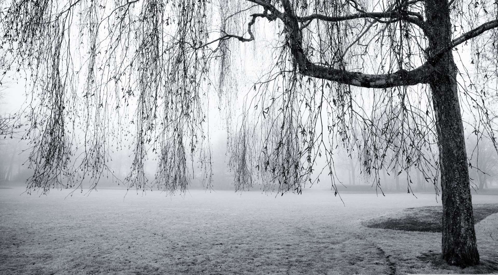 1920x1060 Desktop Wallpaper Aesthetic Winter