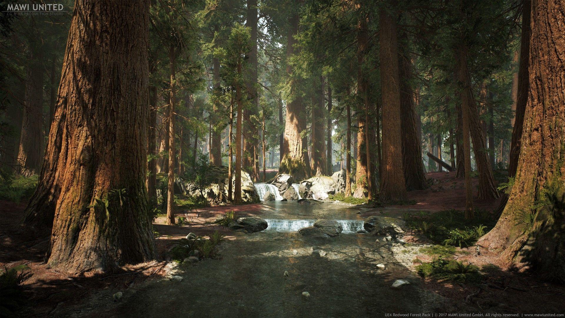 1920x1080 UE4 Redwood Forest, Willi Hammes