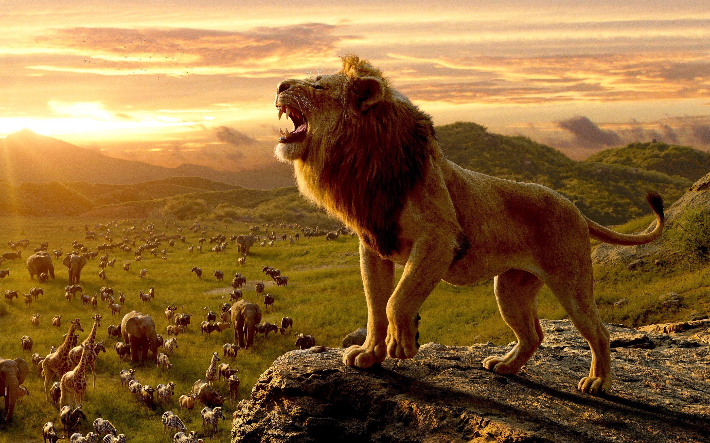 2880x1800 Download wallpaper: Simba, the lion king 2880x1800