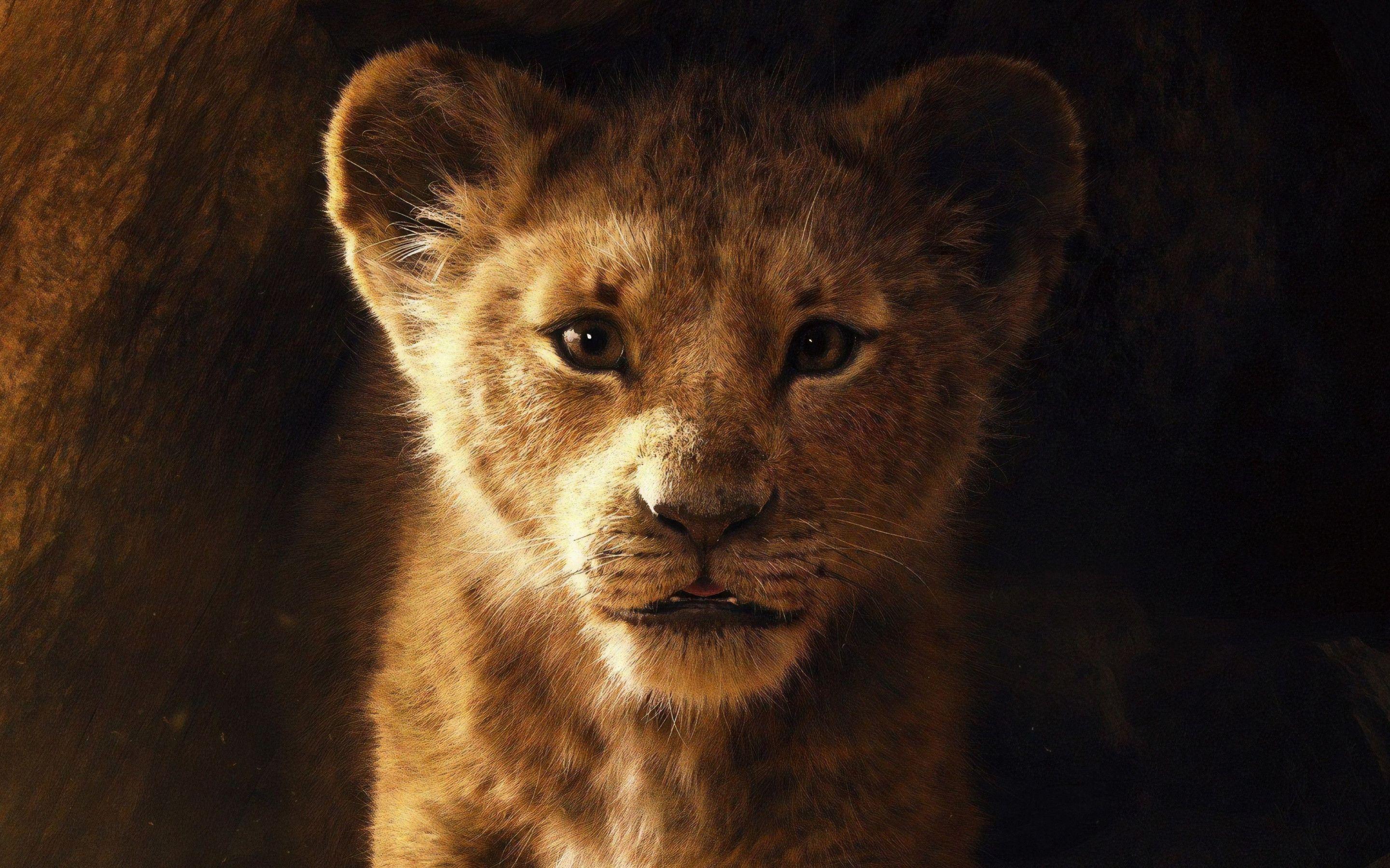 2880x1800 Download wallpaper: The Lion King 2019 2880x1800